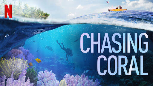 Chasing Coral Movie Night!