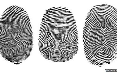 Fingerprint Art