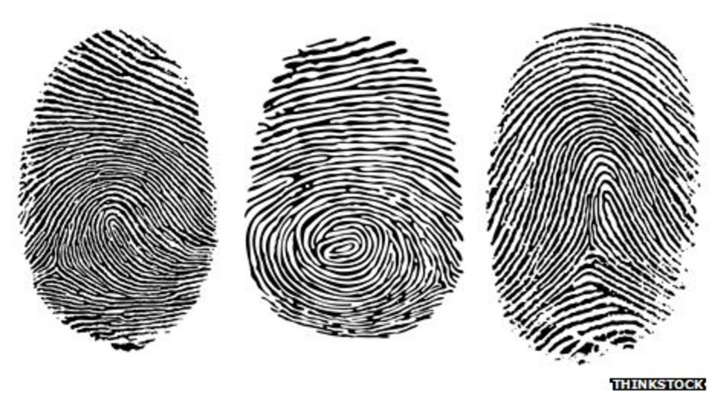 Fingerprint Art